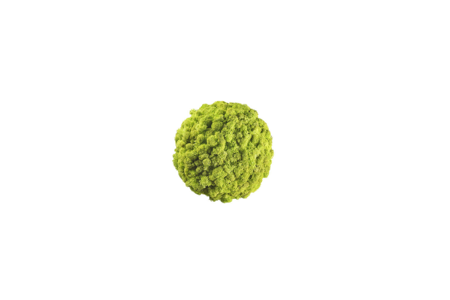 Verde Profilo